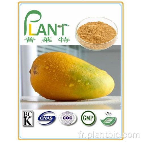 Fourniture d&#39;usine Pure Natural Plant Extraits Extrait de mangue